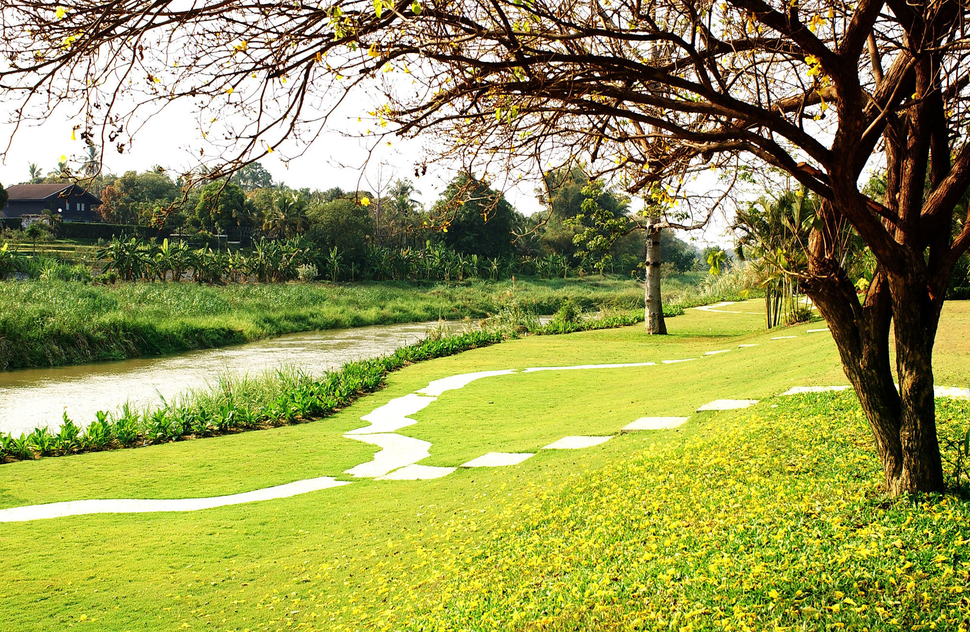 Fueng Fah Riverside Gardens Resort Mae Rim Bagian luar foto
